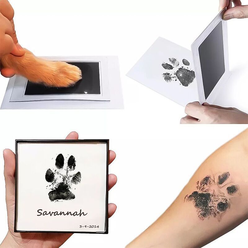 Pet cat and dog paw prints, co - Baby Products Eco Friendly 리뷰 및 가격